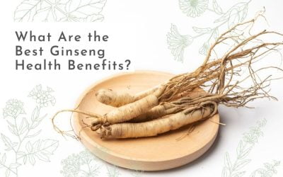 What Are the Best Ginseng Health Benefits?
