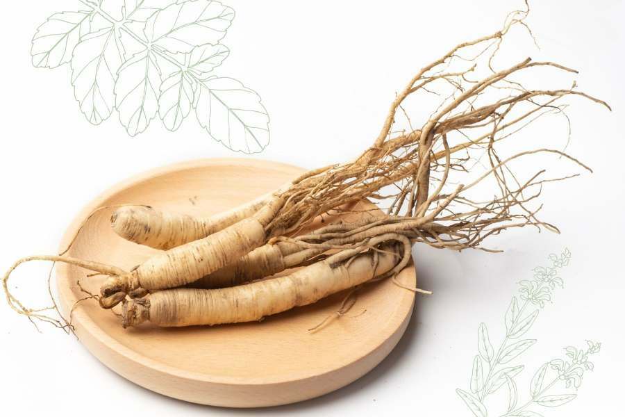 ginseng root plate