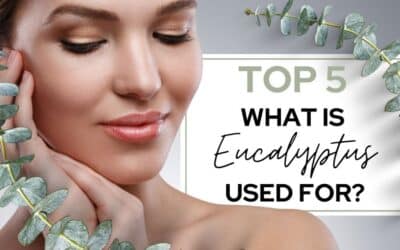 What Is Eucalyptus Used For Top 5