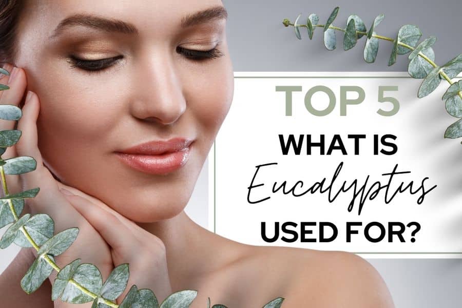 what is eucalyptus used for