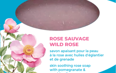 Barre de savon rose sauvage